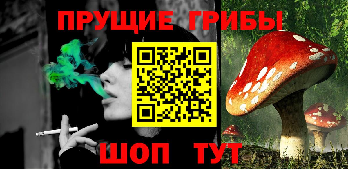 Галлюциногенные грибы мицелий  Псилоцибиновые грибы Magic Shrooms  Острогожск  Вход с VPN 